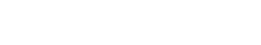 Site Generator Pro